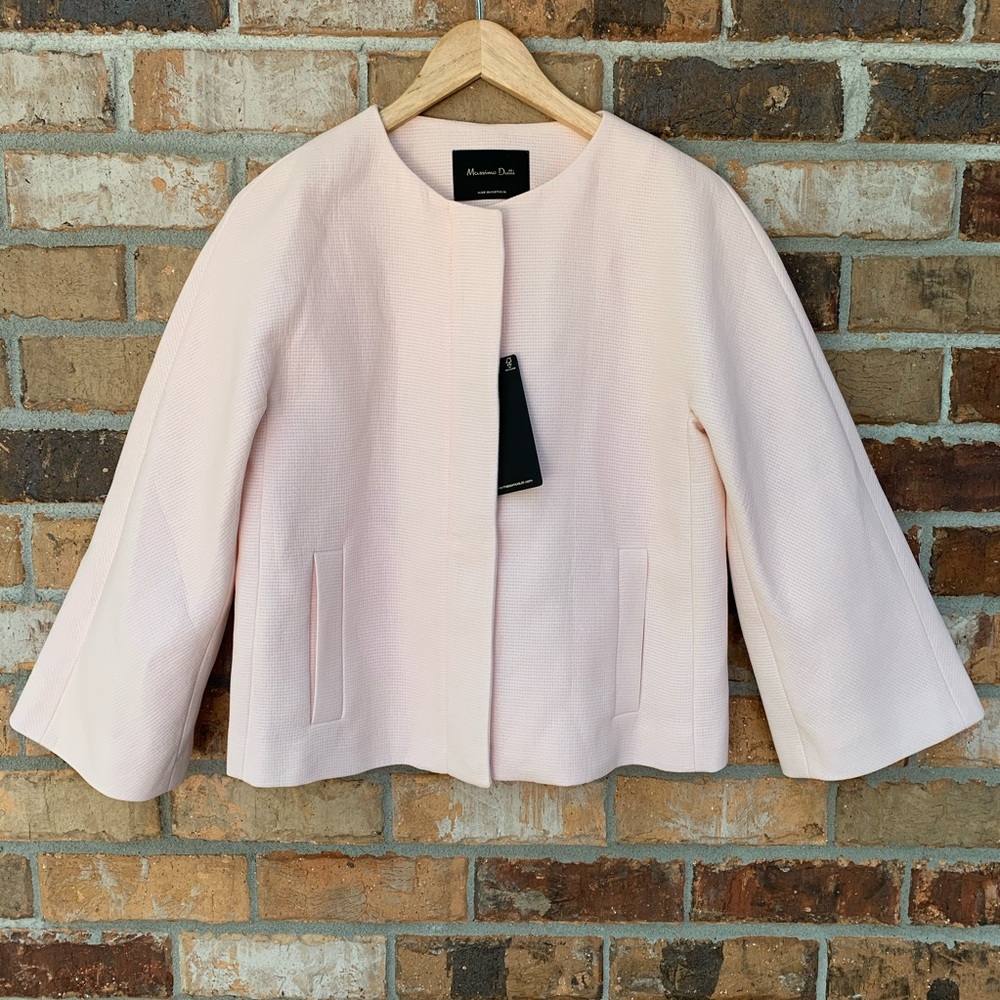 Massimo Dutti Dusty Rose Blazer Zip Jacket
